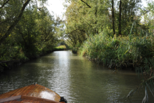 Boat trip through the creeks of the Biesbosch